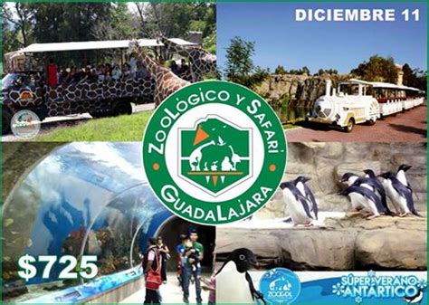 Viaja con Destinos Tour al Zoológico y Safari Guadalajara ...