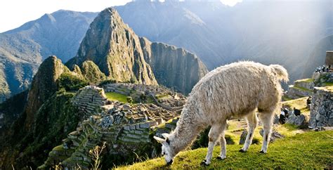 VIAJE A CUSCO   Siguiendo las huellas de los Incas
