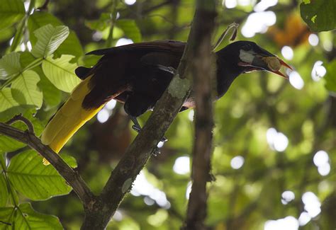 Viajes a Costa Rica. Multiactividades en la naturaleza ...