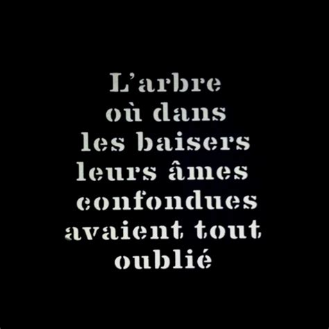 Victor Hugo Quotes En Francais. QuotesGram