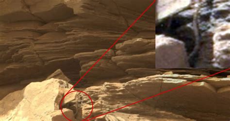 ¿Vida extraterrestre? NASA revela fotografía de ...