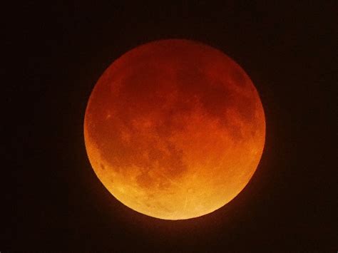 Video: Blood Moon: Did you see the lunar eclipse? If not ...