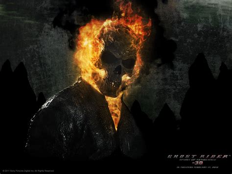 Video Collection Data Base: Ghost Rider : Spirit of ...