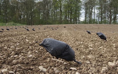 Video: How to make a crow rag decoy   Shooting UK