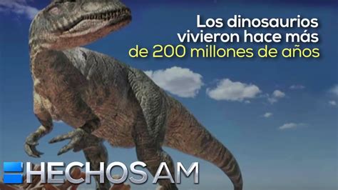 Videoinfografía: Breve información sobre los dinosaurios ...