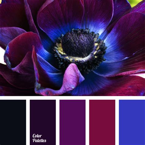 violet dark blue color | Color Palette Ideas