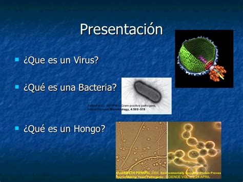 Virus, bacterias y hongos patógenos