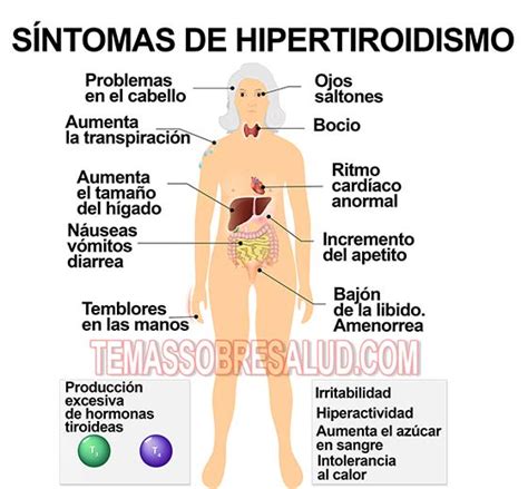 Visión General Sobre el Hipertiroidismo y Cómo Afecta la Salud