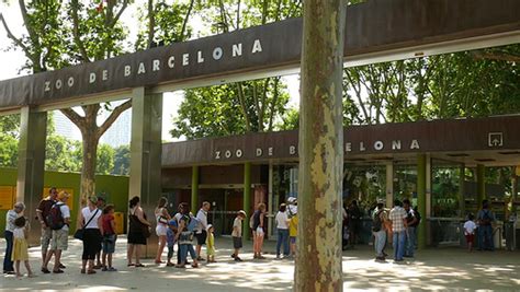 Visit Barcelona Zoo | Desig, The Blog