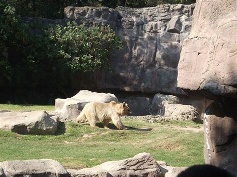 Visita al Zoológico de Chapultepec, México, DF | PAISAJES ...