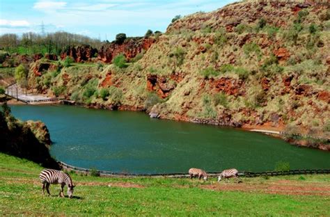 Visita Cantabria con entrada al Parque de Cabárceno ...