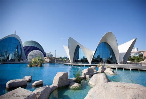 Visita el Oceanografic de Valencia