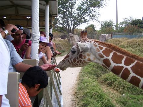 Visita el zoologico de guadalajara  visita mexico    Taringa!
