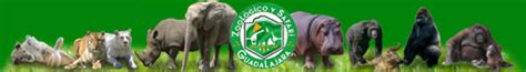 Visita el Zoológico Guadalajara en semana santa   Vivir ...