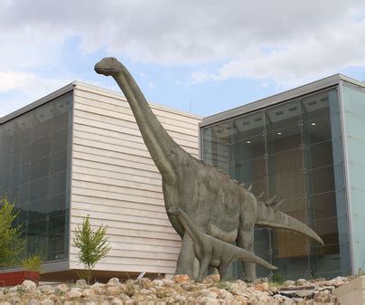 Visita Museo de Paleontología de Castilla La Mancha | TCLM