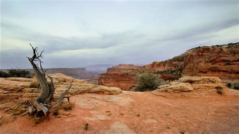 Visita Parque nacional Tierra de Cañones en Moab | Expedia.mx