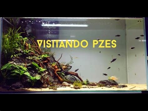 VISITANDO PZES + DESCUENTOS PARA TODOS!   YouTube