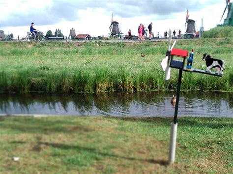 Visitar molinos en Holanda Zaanse Schans Guía El ...