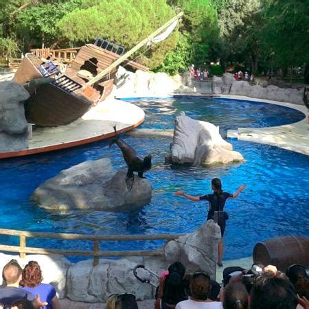 Visitar Zoo con Niños Pequeños | Zoo Aquarium de Madriduarium