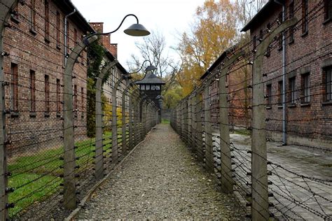 Visite du camp de concentration d’Auschwitz – Moi Caméléon