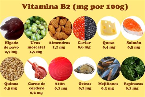 Vitamina B2 o riboflavina | Calorías y nutrientes