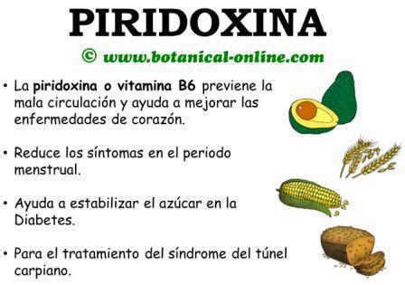 Vitamina B6   Piridoxina