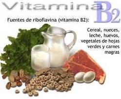 vitamina B8 | blogbioinformaatica732