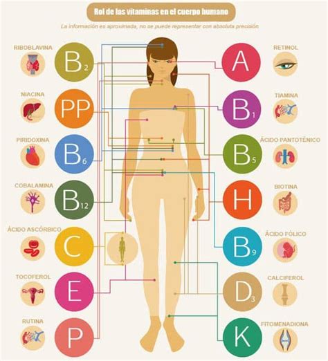 Vitaminas   TODO sobre ellas A, B, C, D, E, K, H,