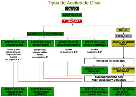 Vive Sana: No todos los Aceites de Oliva son iguales