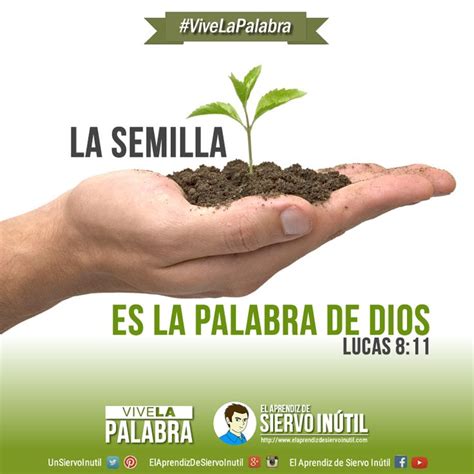 #ViveLaPalabra La semilla es la Palabra de Dios. Lucas ...