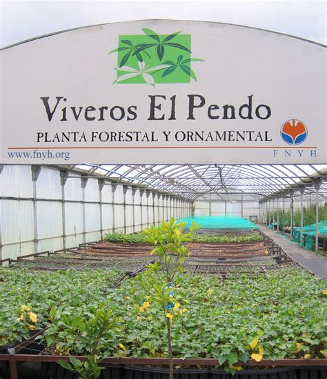 Vivero Forestal El Pendo, Cantabria, producción de planta ...