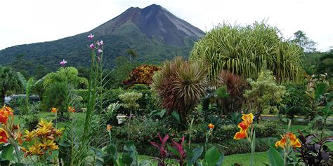 Volcán Arenal y La Fortuna, cultura y naturaleza en Costa ...