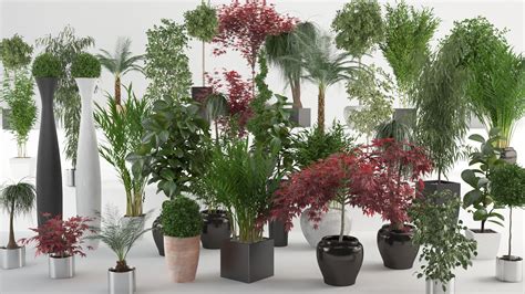 VP Interior Plants 3D Model MAX | CGTrader.com