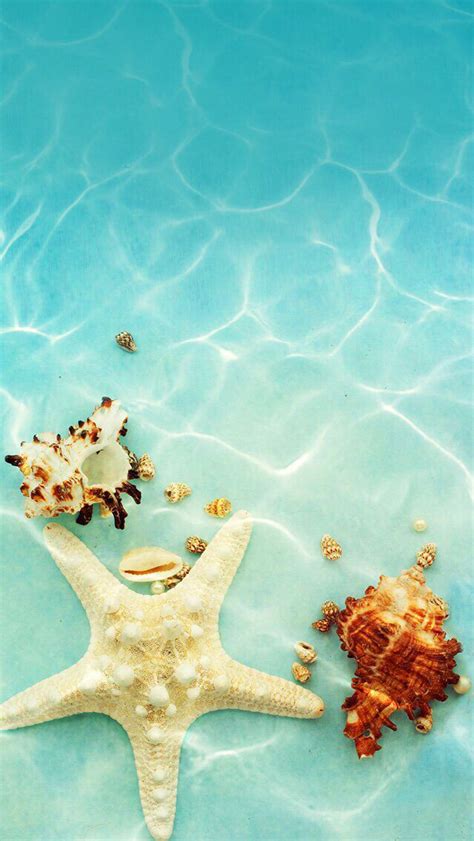 Wallpaper iPhone summer ⚪️ | backgrounds 1 | Pinterest ...