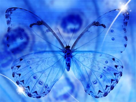 wallpapers: Blue Butterfly Art Wallpapers