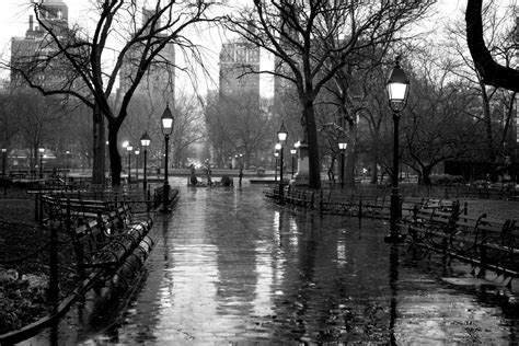Washington Square Park in the Rain | New York, NY February ...