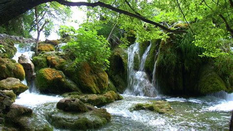 Water Cascades in the Forest 4k Ultra HD Fondo de Pantalla ...