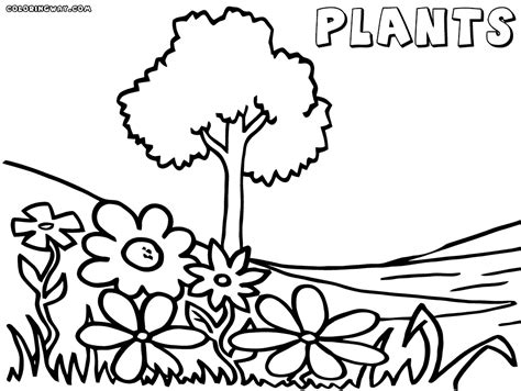 Water Plants Coloring Pages Coloring Pages