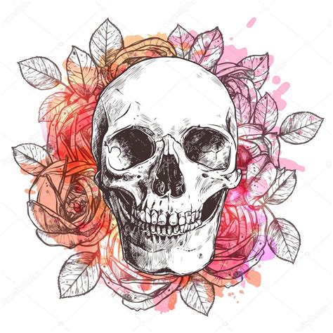 Watercolor Skull And Flowers — Stock Vector ...
