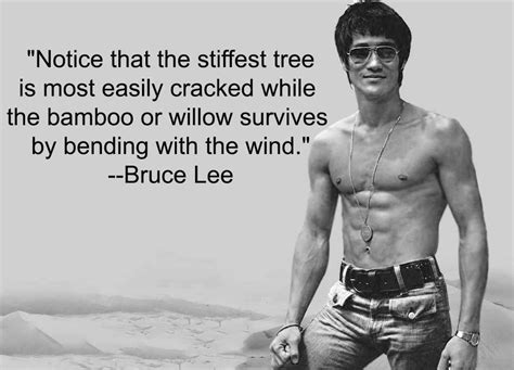 Way Of The Dragon Bruce Lee