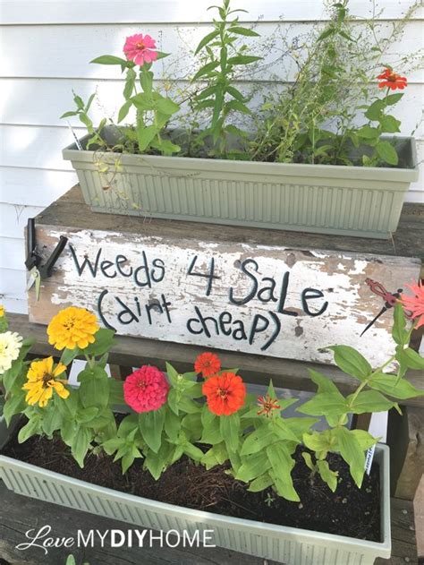 Weeds for Sale   Dirt Cheap! Fun DIY Garden Sign | Hometalk