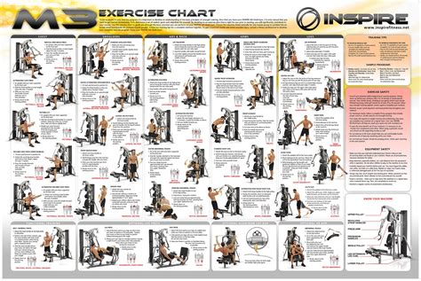 Weider Home Gym Exercise Chart | Diet Health | Pinterest ...