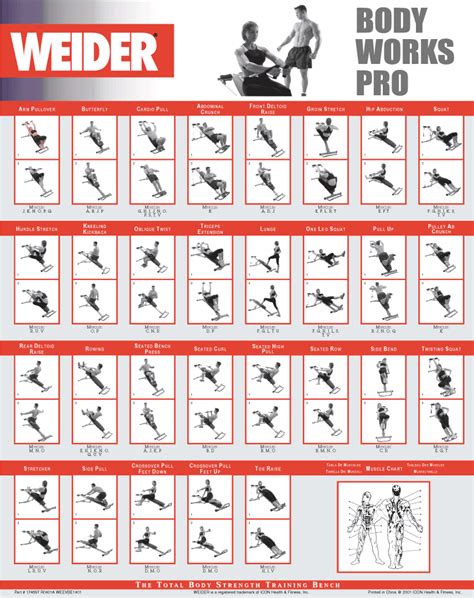 Weider Workout Chart images | excercises | Pinterest ...