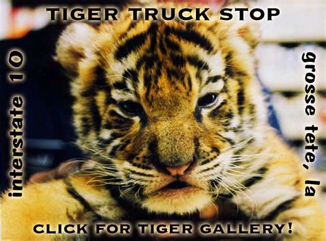 Welcome to the Tiger Truck Stop!