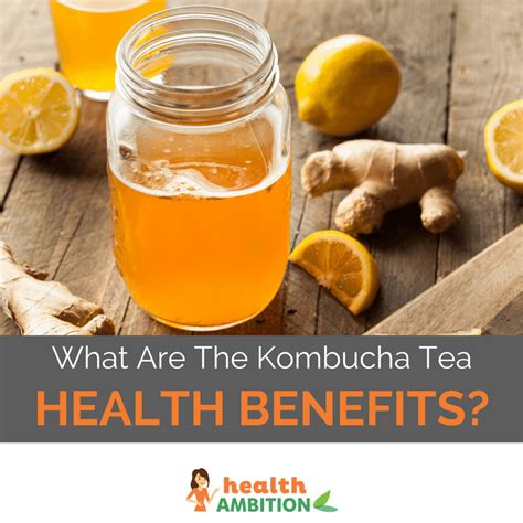 What Are The Kombucha Tea Health Benefits?   Health Ambition