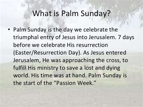 What does Palm Sunday mean?; Why is it important?, The ...
