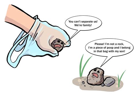 What Does The Color Of Your Dog’s Poop Mean?   BarkPost