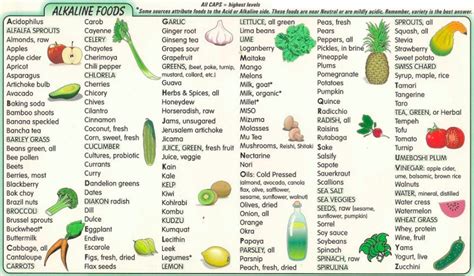 What is Alkaline Diet? What foods are Alkaline   Benefits ...