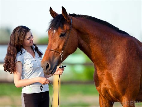 What is Equine Herpes Virus  EHV ?  with pictures