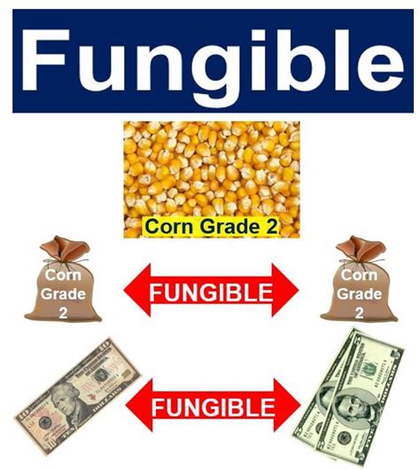 What is Fungible? Definition and Meaning   UK